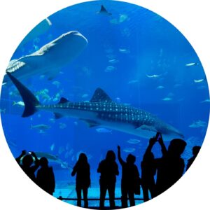 Uczniowie podczas zwiedzania Ozeaneum, jednego z największych muzeów morskich w Europie.