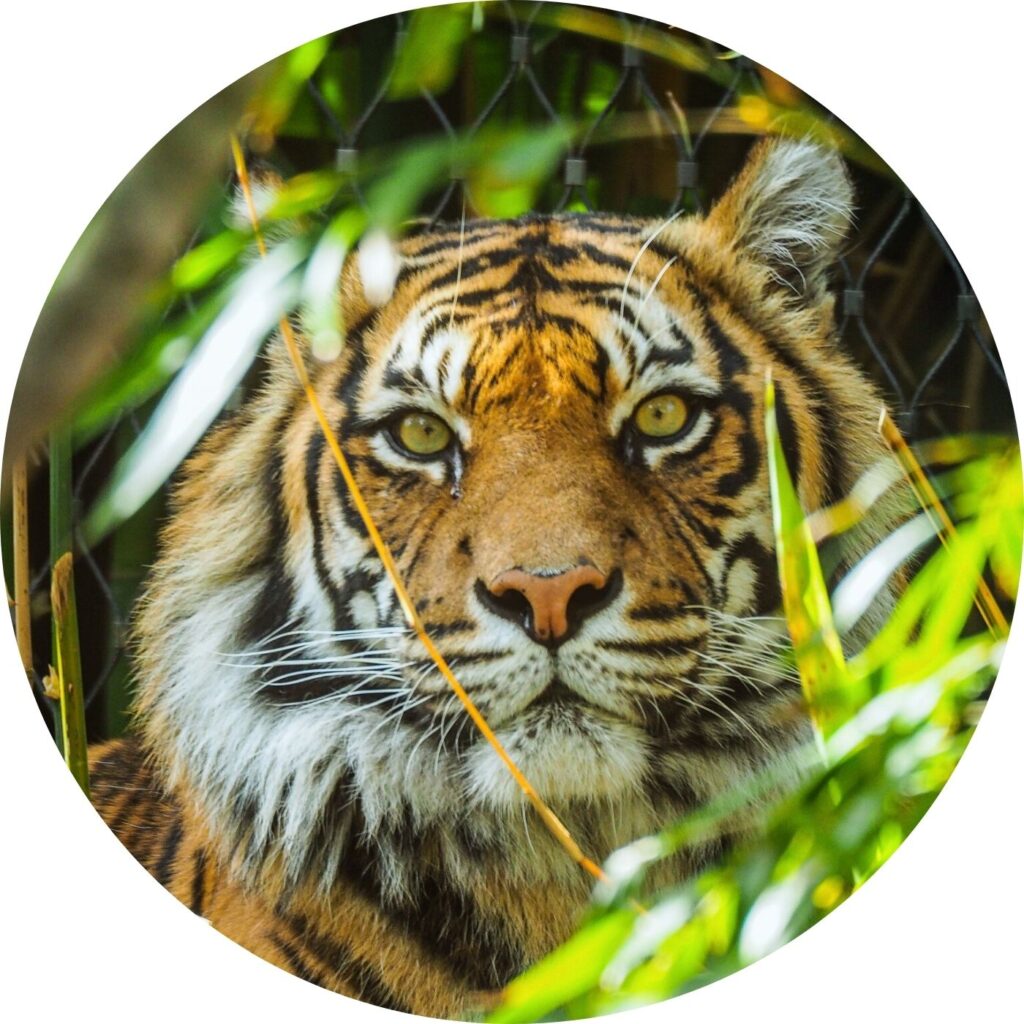 Edukacyjna wycieczka szkolna do Zoo Eberswalde.